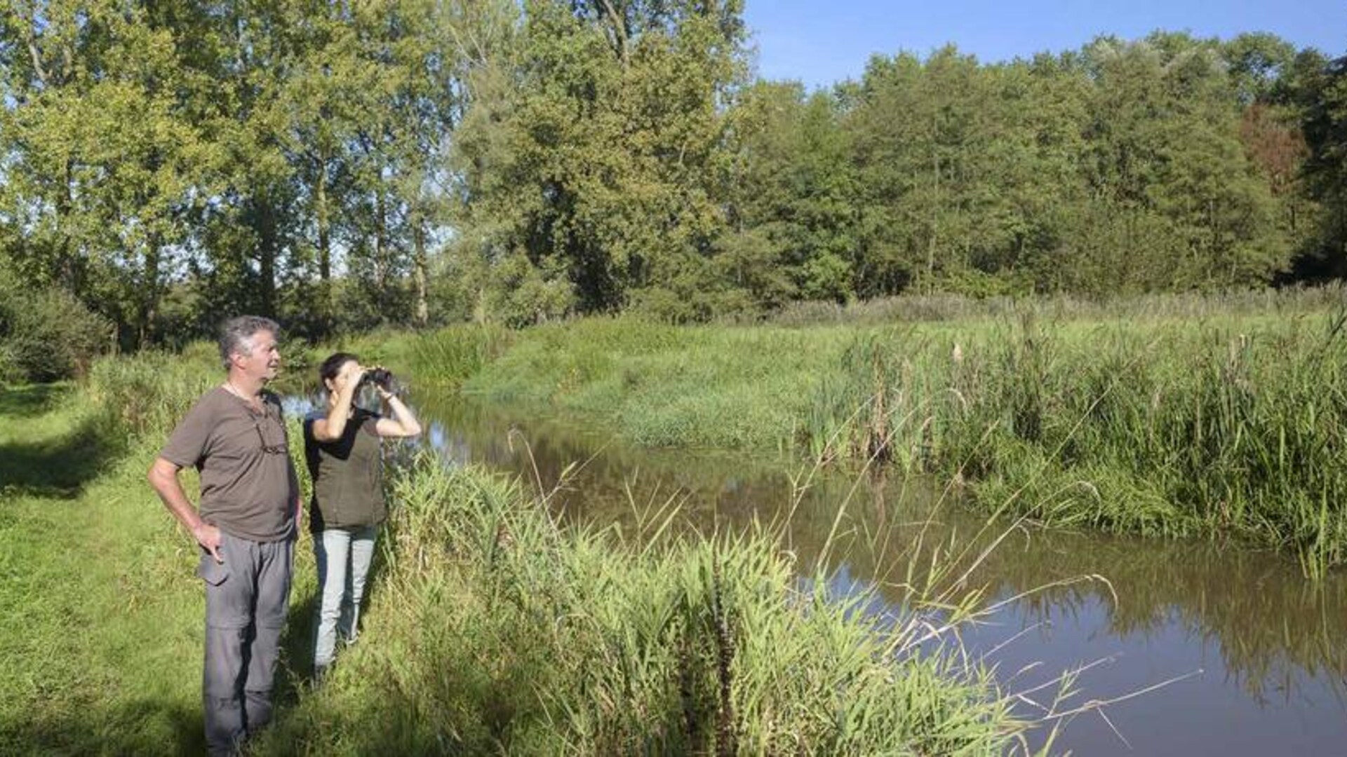 Wandelen kleine Dommel